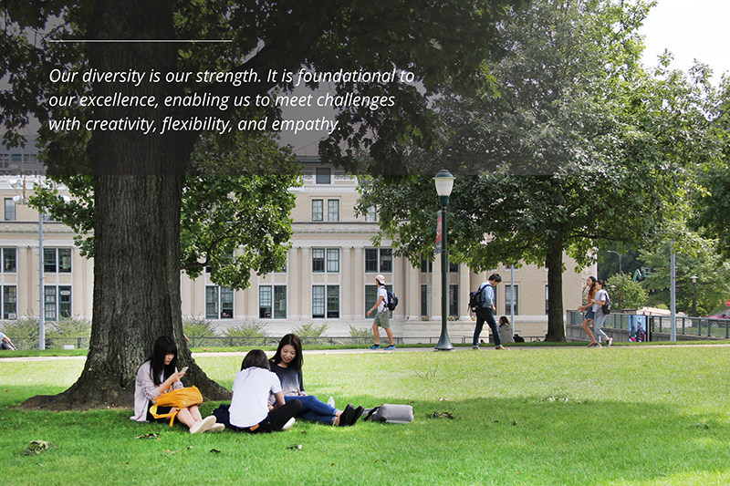 Quote: "Our diversity is our strength: It is foundational to our excellence, enabling us to meet challenges with creativity, flexibility, and empathy" over image of students on grass.