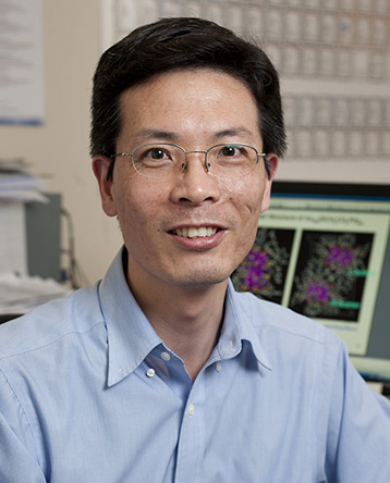Rongchao Jin
