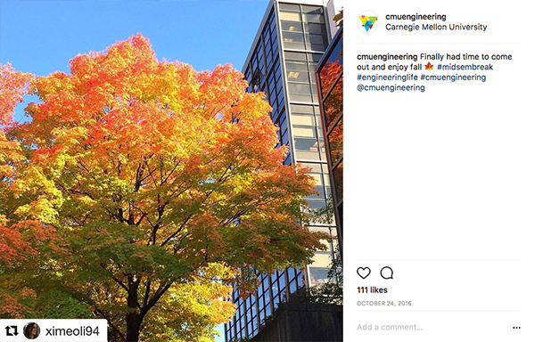 Large tree with orange and yellow leaves in fall
