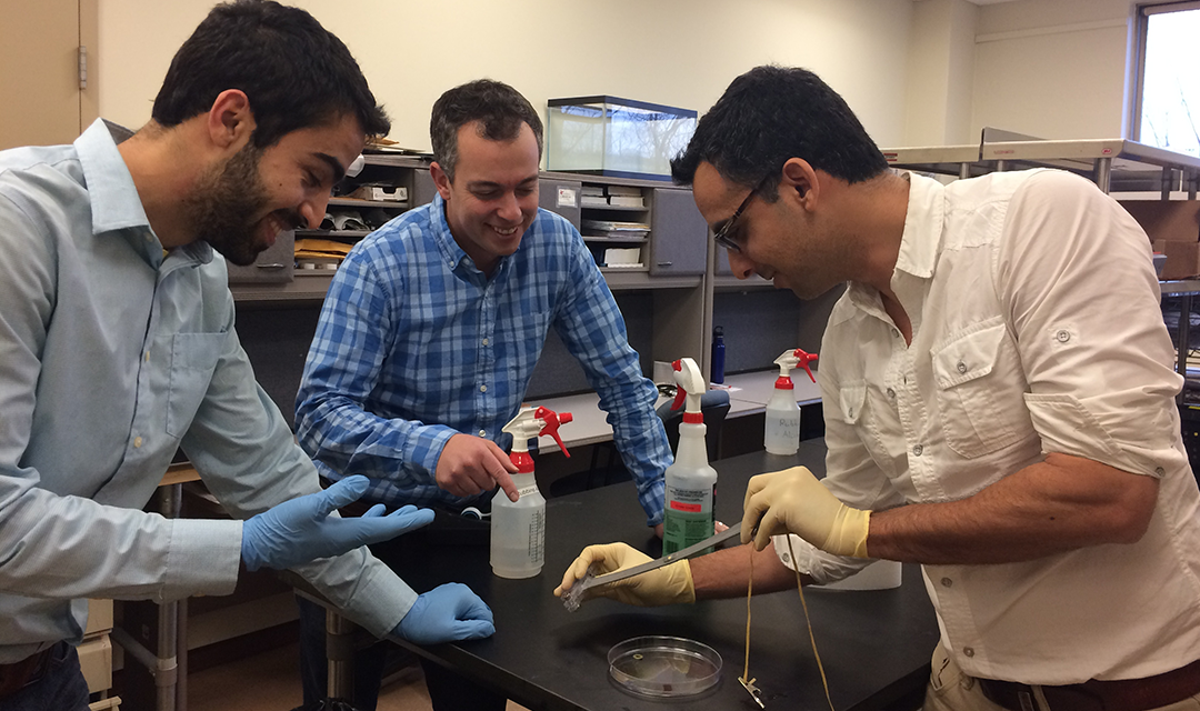 Carmel Majidi and Jon Malen demonstrate Thubber