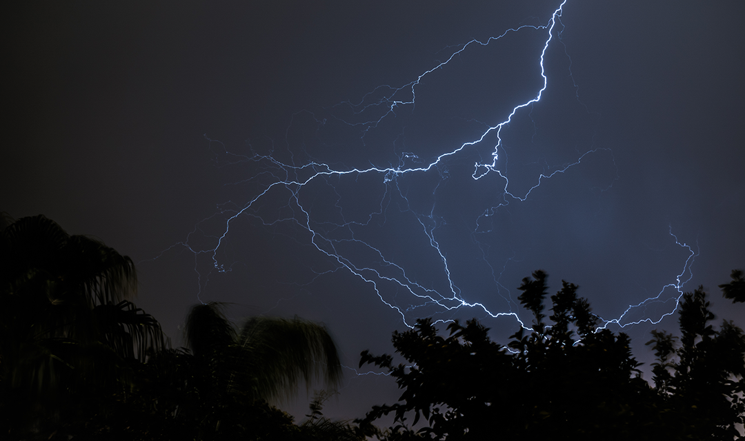 Lightening striking above trees