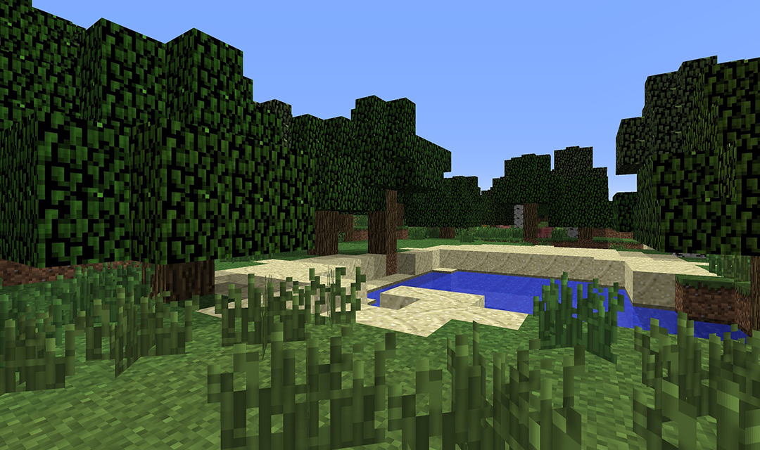 Screenshot from Minecraft gameplay