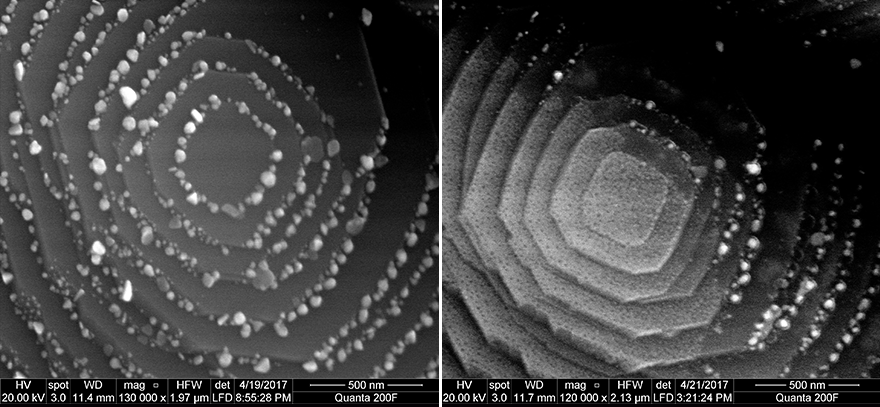 Slides of hydrogen under microscope