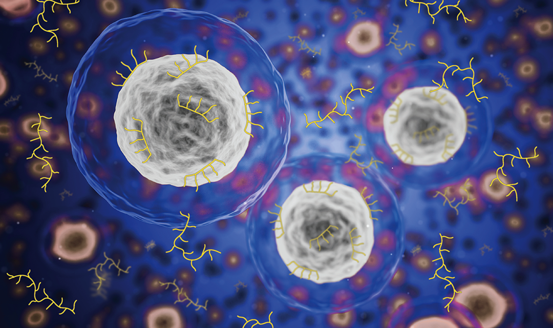 Illustration of complex material cells