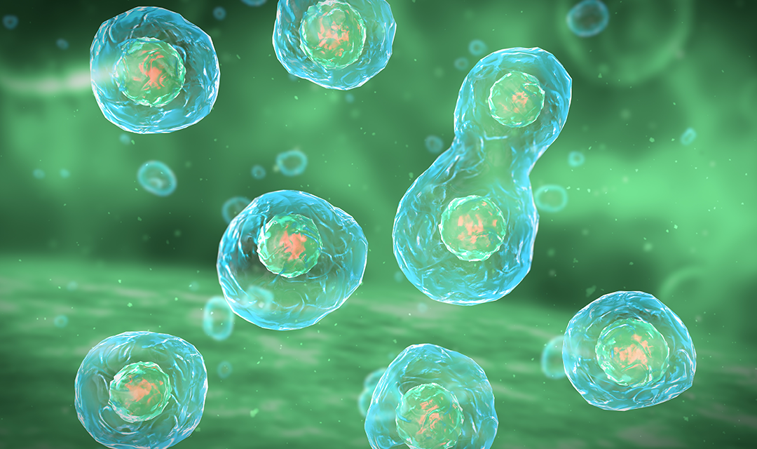 Close up of cells multiplying