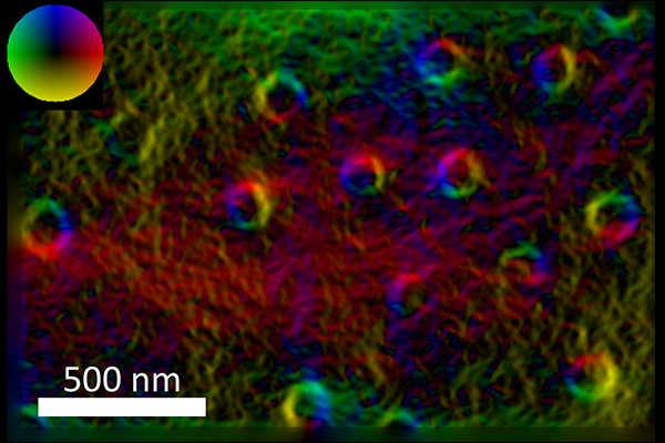 Slide image taken by transmission electron microscope