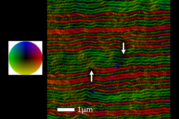 Slide image taken by transmission electron microscope