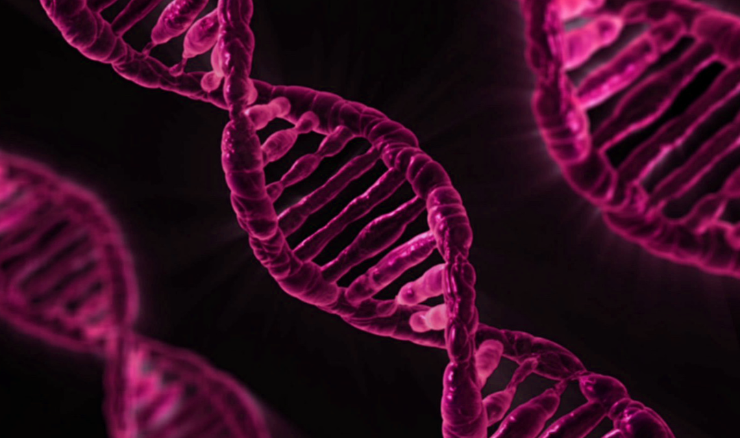 Close up of strand of DNA