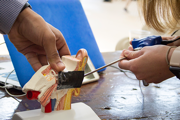 Student hands on a project