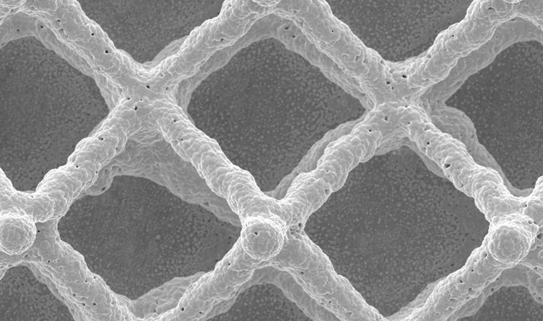 Microscope slide image