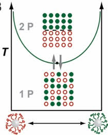 Illustration of red and green dots separating and organizing