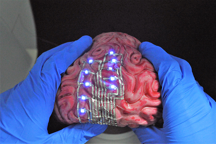 Tattoo adhering to human brain model