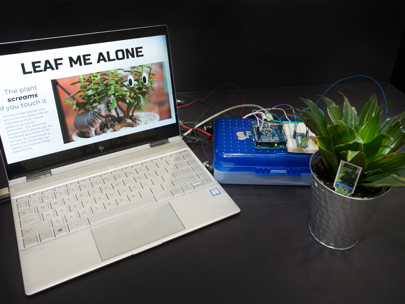 ECE, MechE, and Computer Science students Irene Lin, Kimberly Lo, Christian Manaog worked on a proof-of-concept project called Leaf Me Alone which uses plants as sensors.