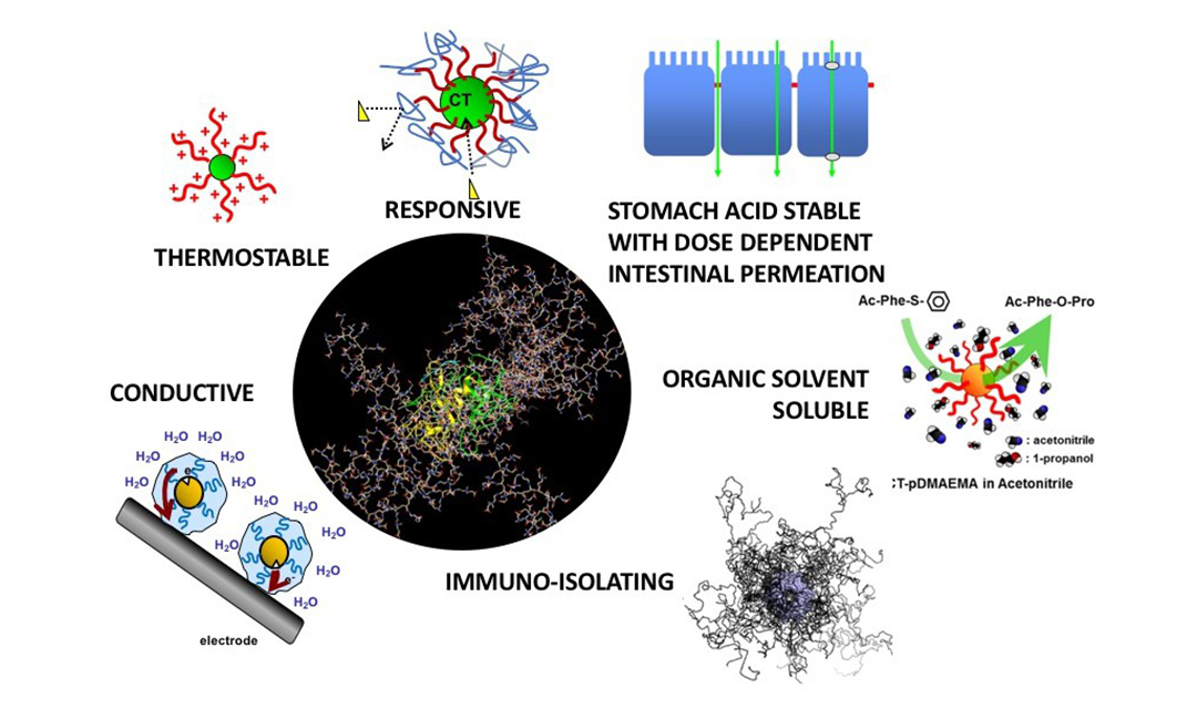 Visual of BioHybrid’s ATRP protein engineering method and potential results