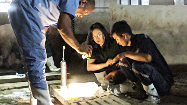 Three researchers installing the sensors in a pig pen.