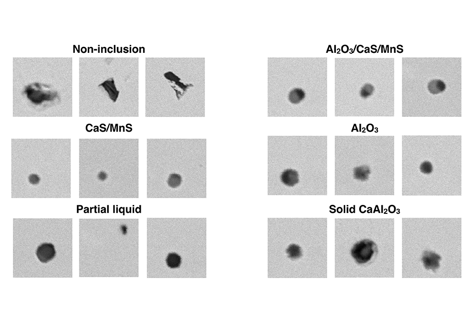 Graphic showing non-inclusion