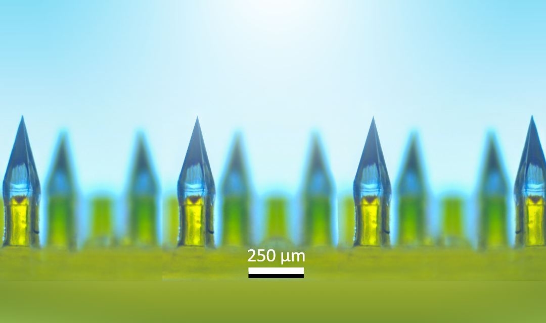 Microneedle