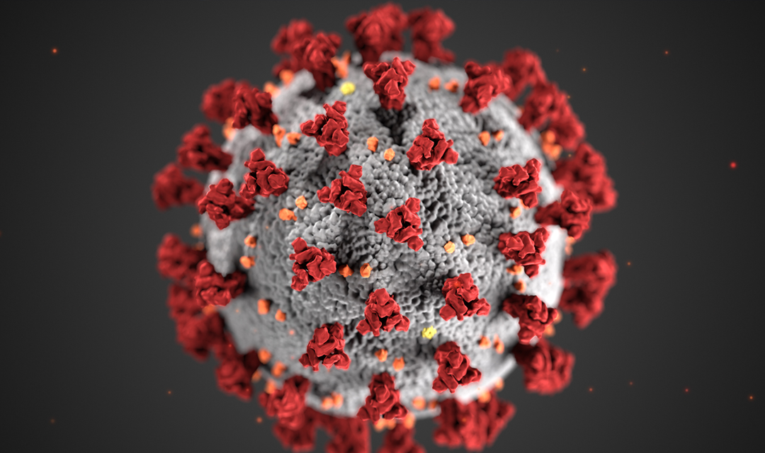 COVID virus