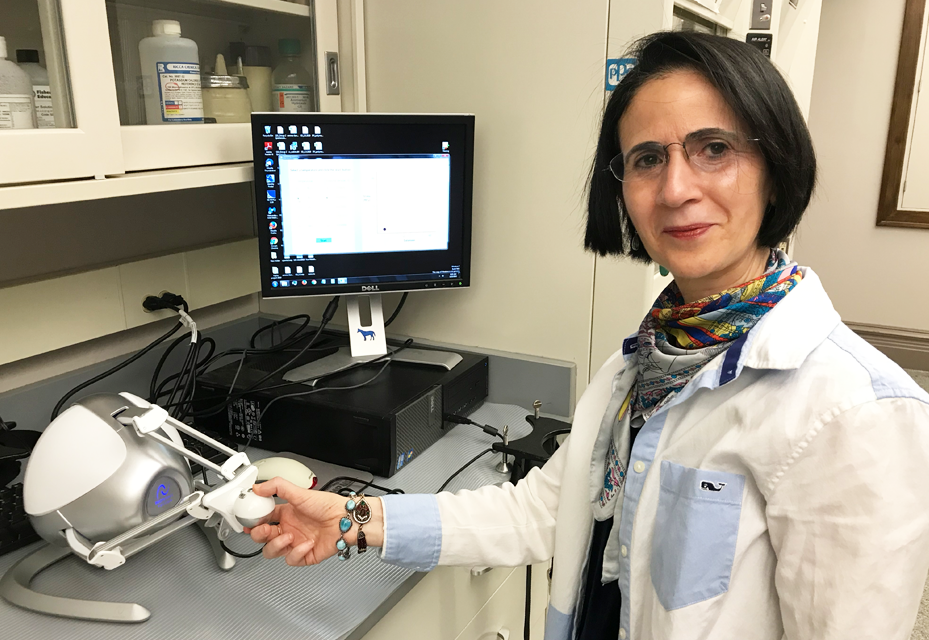 Woman in lab in front of laptop screen