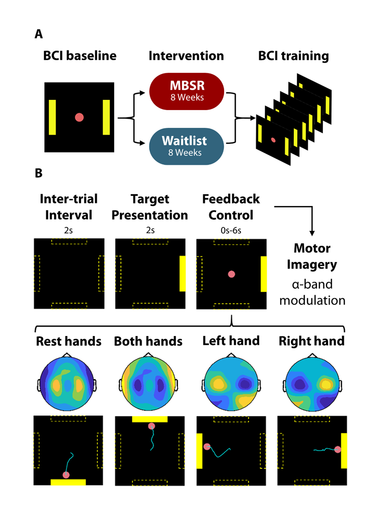 Technical graphic showing the process from the BCI baseline to motor imagery