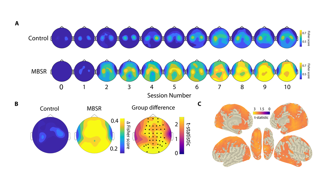 Graphic showing the difference between the control and the MBSR groups