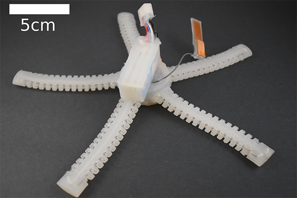 A plastic robot in the shape of a starfish