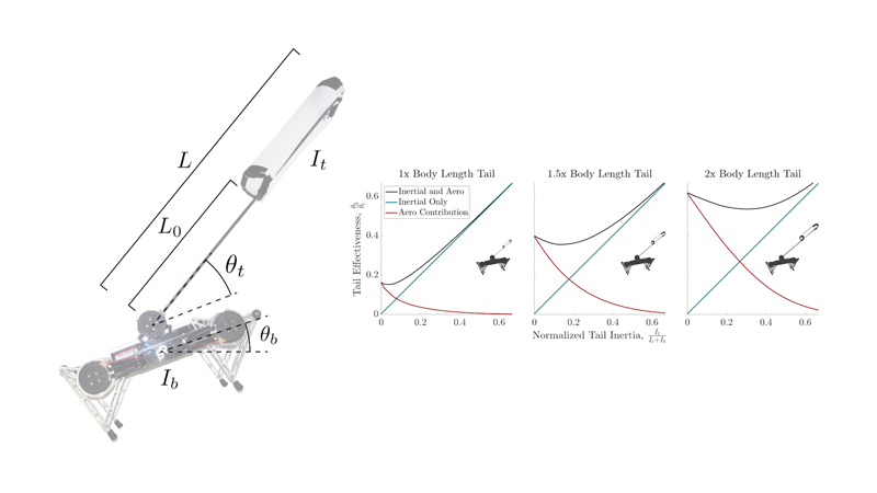 Technical graphs depicting tail effectiveness by normalized tail inertia