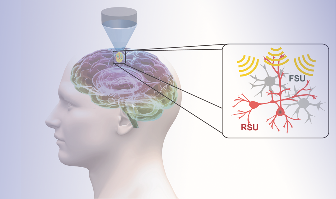 A closer look at noninvasive focused ultrasound neuromodulation of cell-type specific neurons.