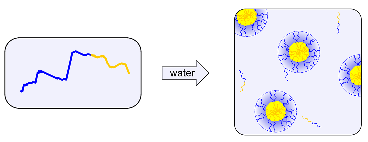 Diblock polymers as a chain and in a ball