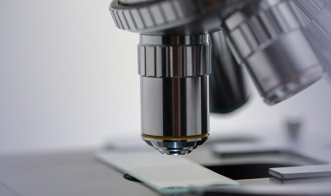 Microscope lenses