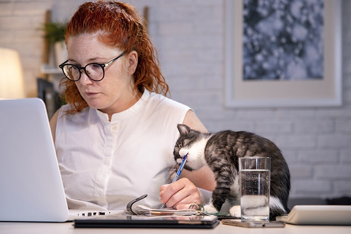 Woman on a laptop with a cat on the table