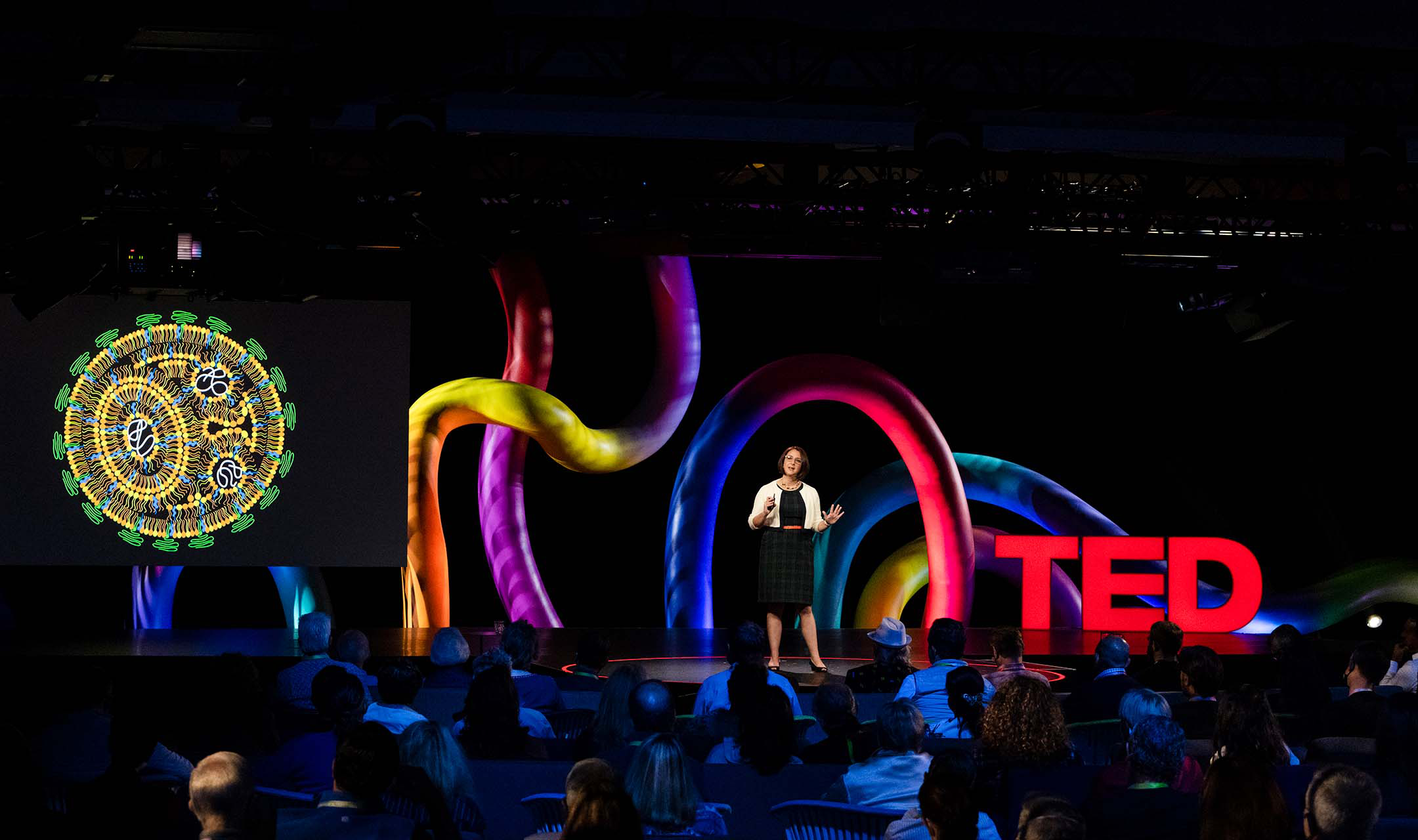 Katie Whitehead presenting her TED talk