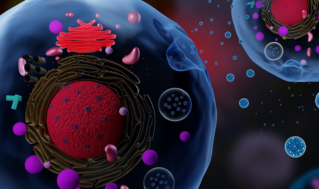 Exosomes