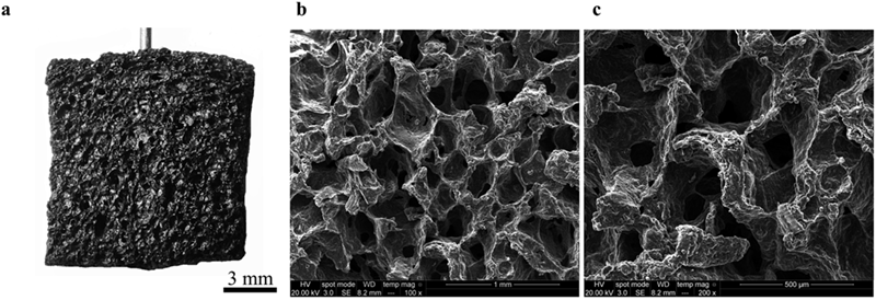 Technical graphic showing magnified bread