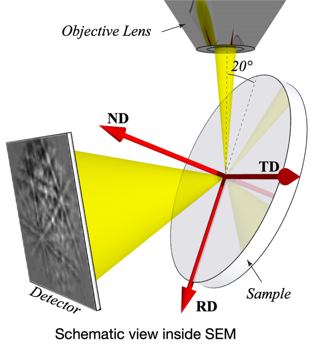 Schematic view inside SEM