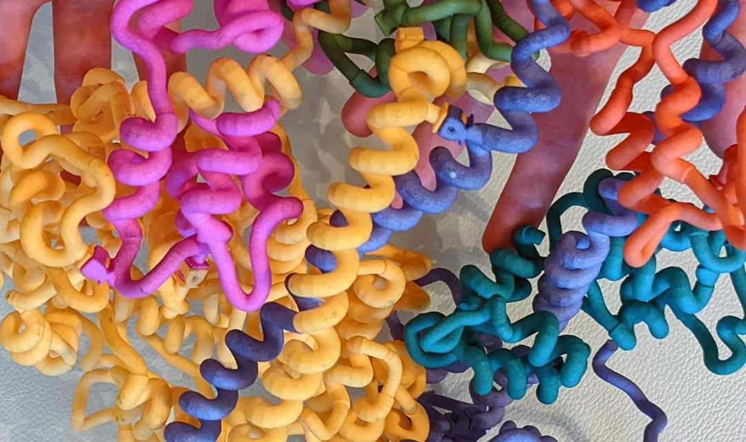 3D printing models of proteins and DNA