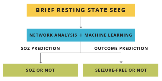 Brief resting state SEEG showing network analysis and machine learning