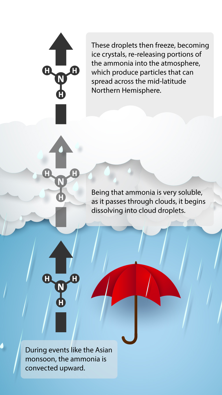 Ammonia is convected upward during events like the Asian monsoon. Because ammonia is very soluble, as it passes through clouds, it begins dissolving into cloud droplets. These droplets then freeze, becoming ice crystals, re-releasing portions of ammonia into the atmosphere, producing particles that can spread across the mid-latitude Northern Hemisphere.