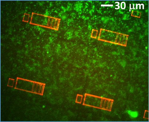 Orange rectangles on green spots with a black background