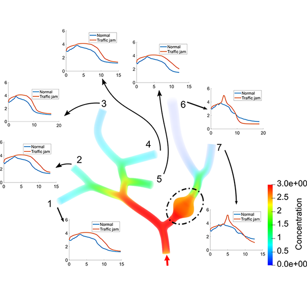 Graphs showing various traffic jams