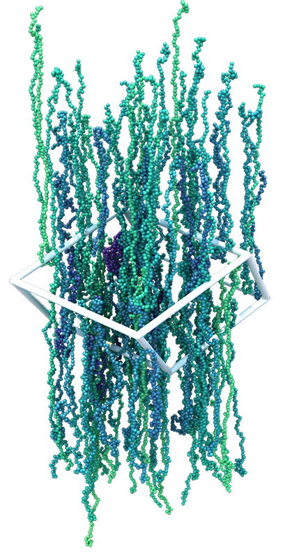 associating polymers breaking up into chains