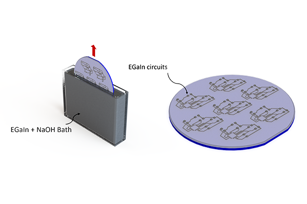 The disc inserted in the NaOH bath, with the circuits on the wetting layer pattern shown in larger detail to the right