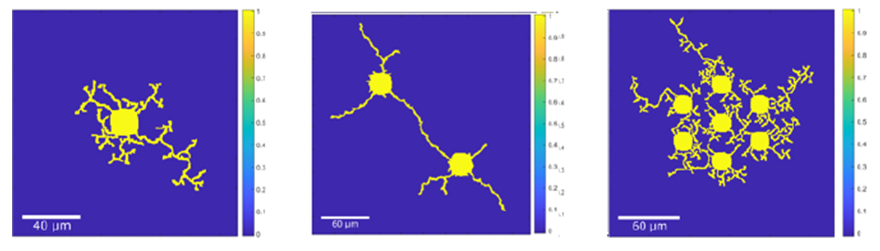 Three separate charts showing neuron growth. The first image only has one neuron, the second has two, and the last chart has seven.
