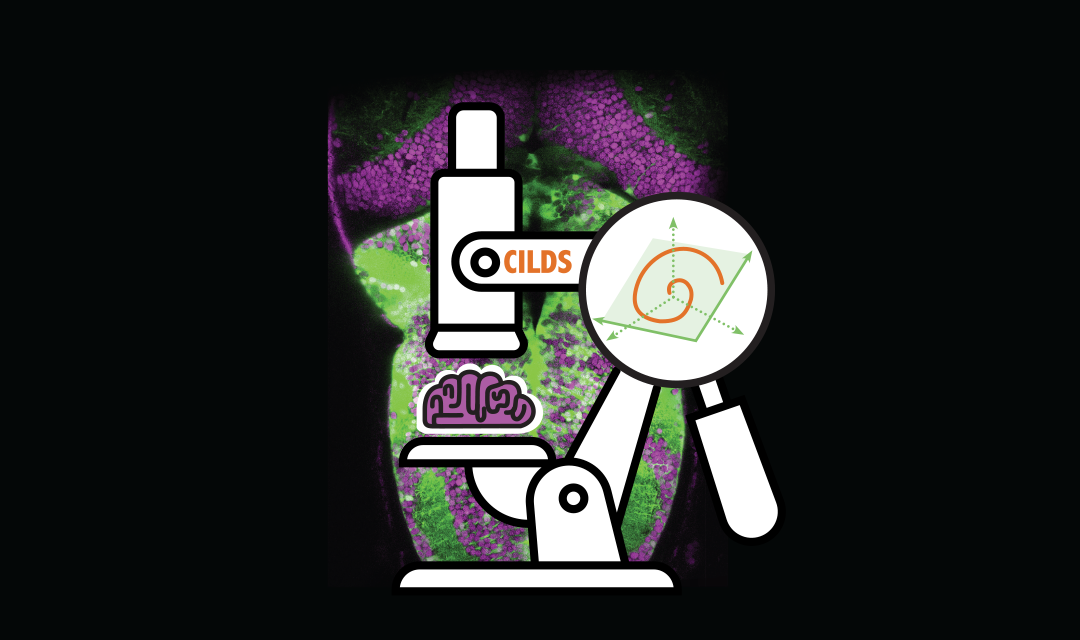 Illustration of a microscope looking at a brain