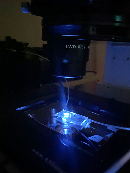 Microscope with the light on in a dark lab
