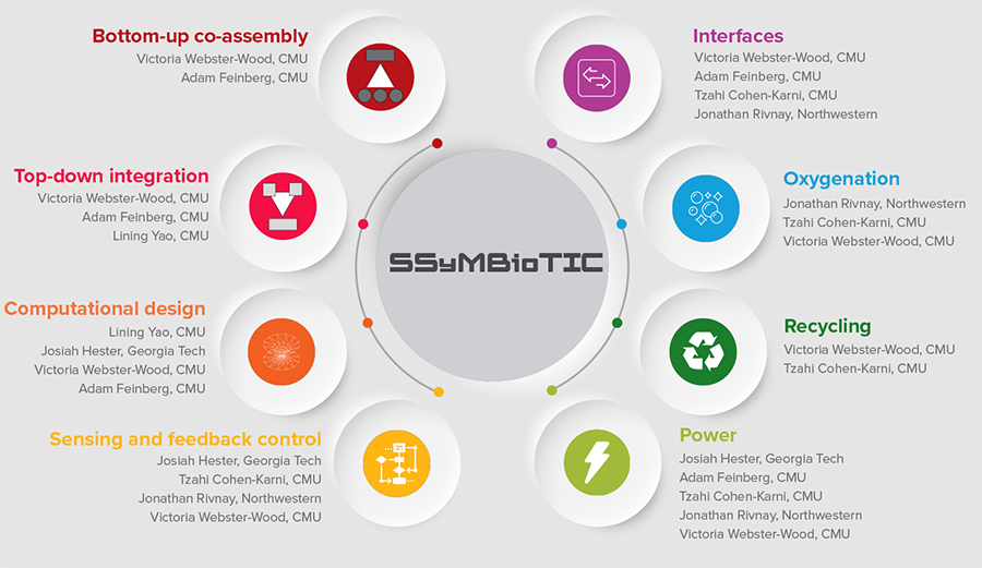 An infographic showing the SSyMBioTIC cycle and who is involved with which piece.