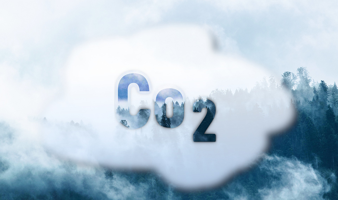 CO2 written over a forest background
