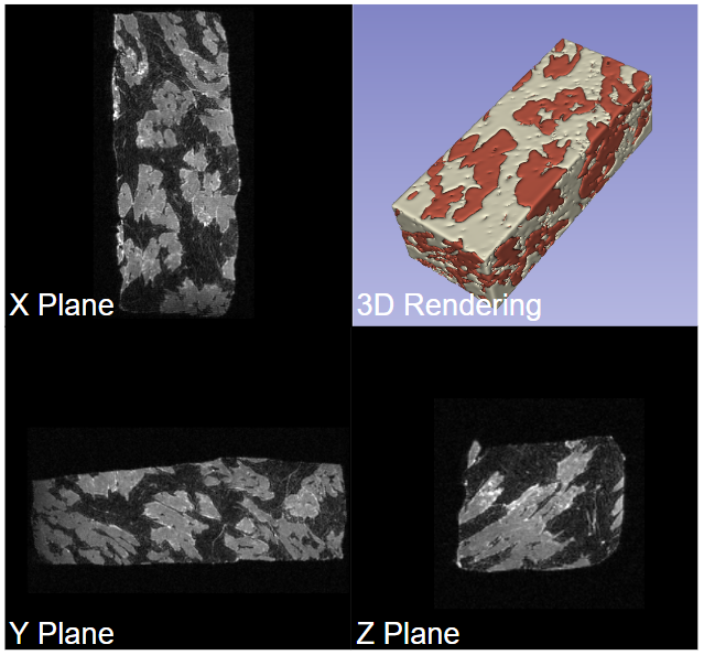 Four different slides of meat tissue