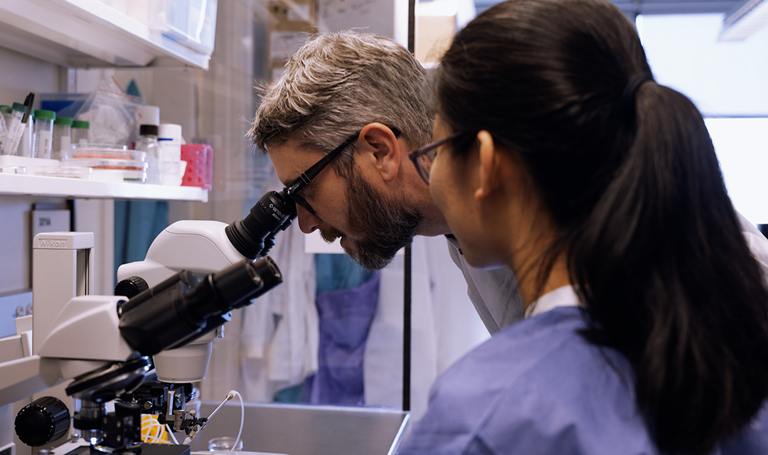 Man looking into a microscope with a woman next to him