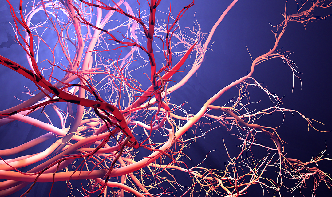 Artistic rendering of veins
